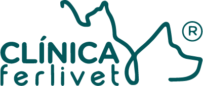 Clínica Ferlivet